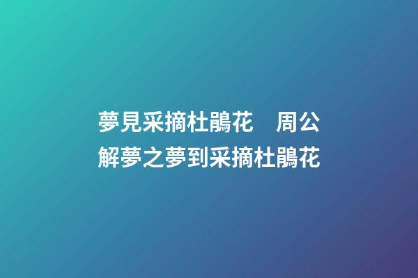 夢見采摘杜鵑花　周公解夢之夢到采摘杜鵑花
